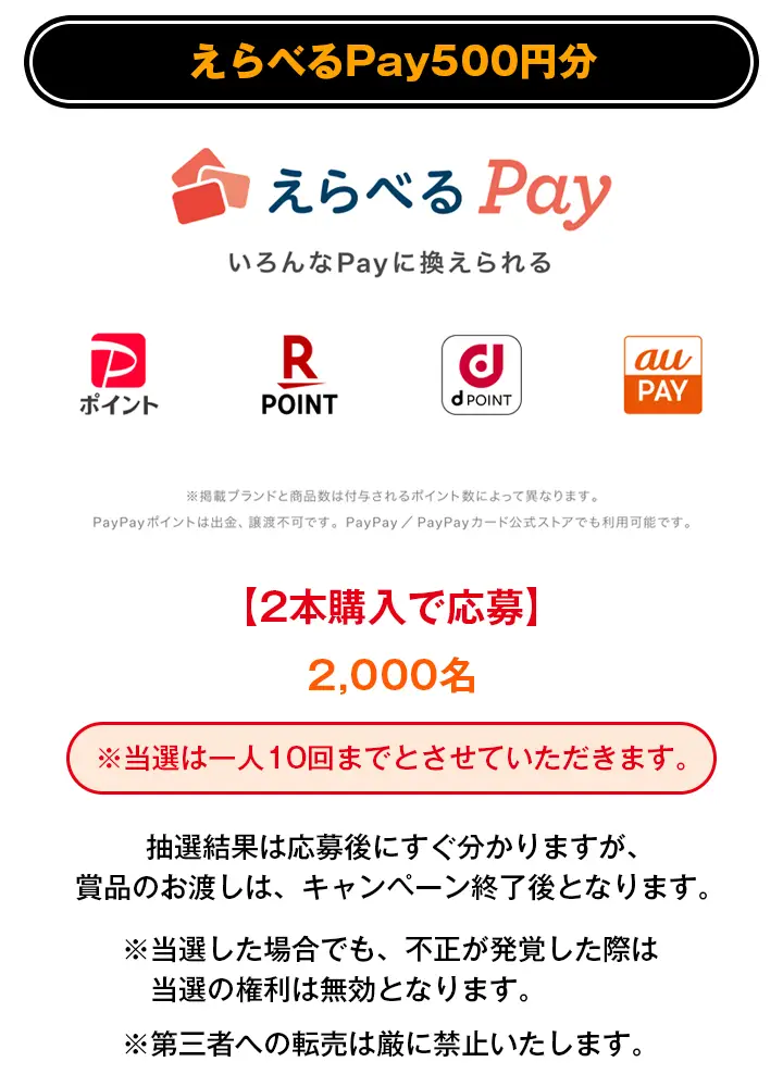 えらべるPay500円分