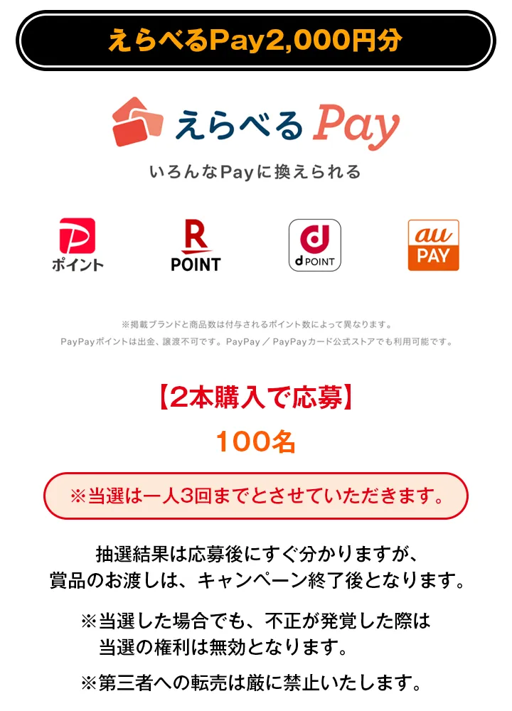 えらべるPay2,000円分