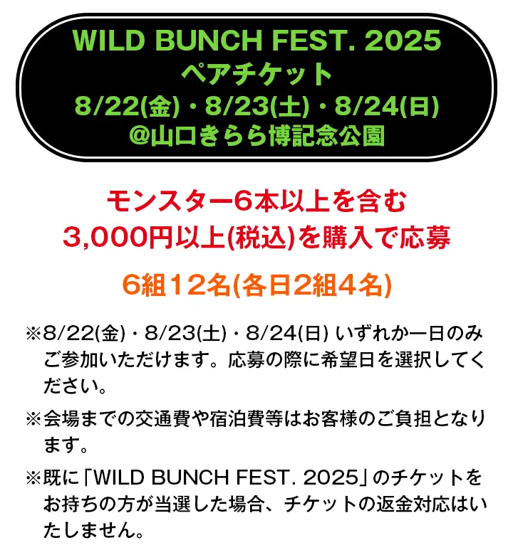 WILD BUNCH FEST. 2025 ペアチケット 8/22(金)・8/23(土)・8/24(日) @山口きらら博記念公園